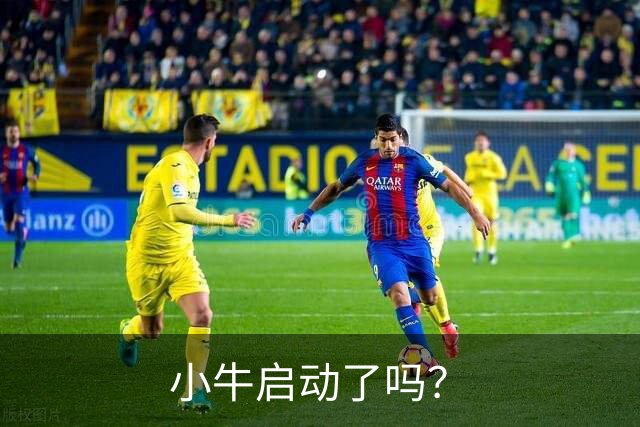 小牛启动了吗？